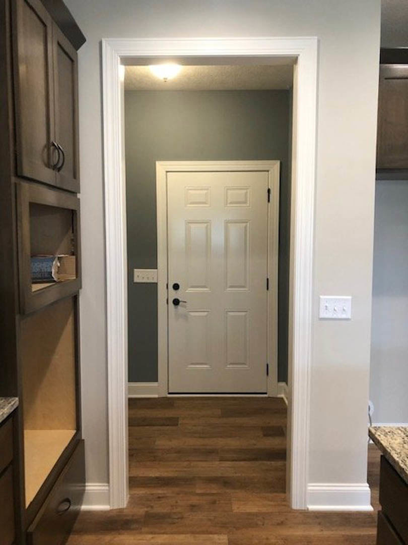 White hallway with wood flooring, white trim, and a white door featuring black handles; white wall outlet with three buttons visible, blurry cat in foreground.