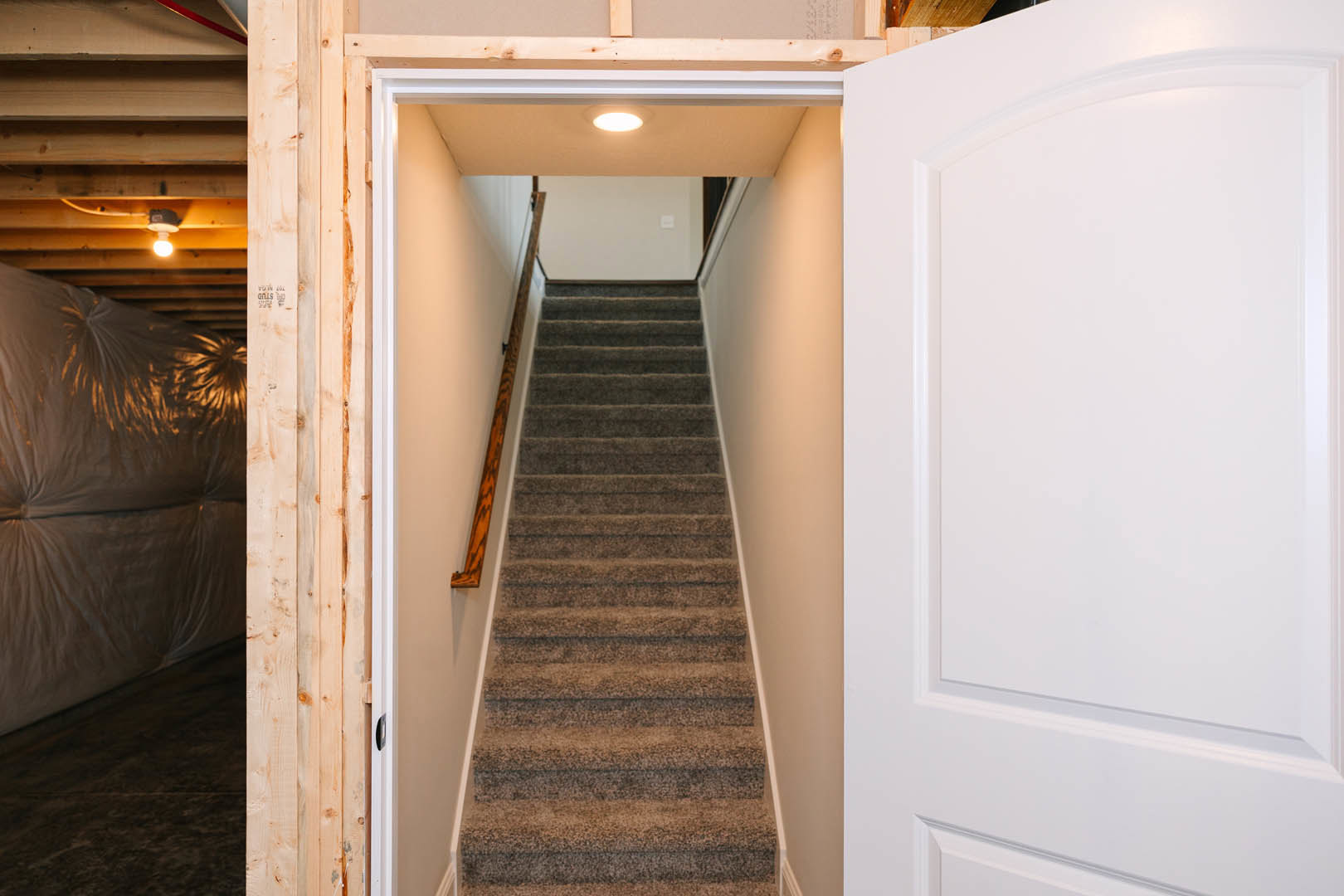 Carpeted staircase with white railing and molding, white door with matching frame, light switch on white wall, partial view of upholstered couch