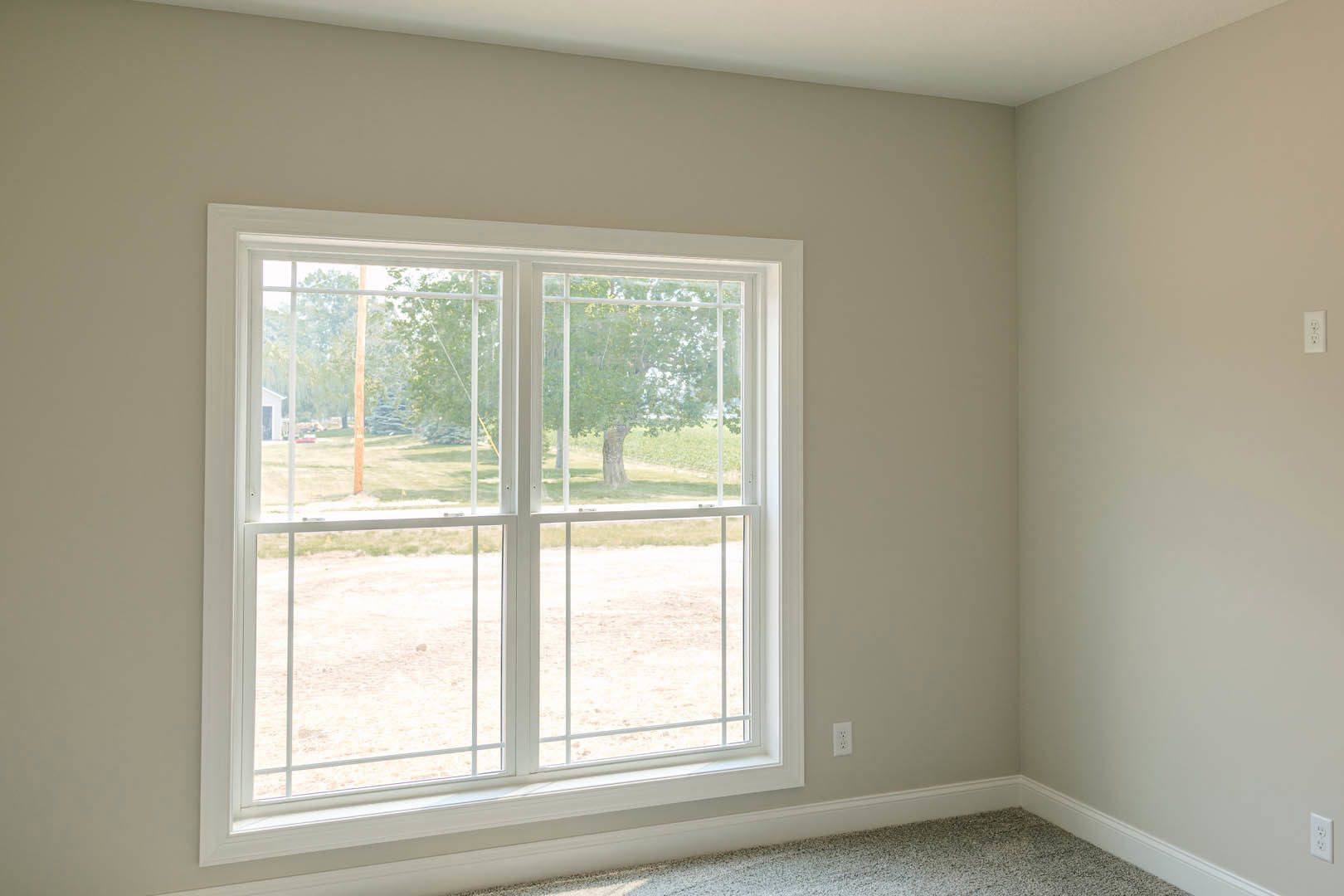 Carpeted room with white walls, large window overlooking green yard and tree, window blinds partially open