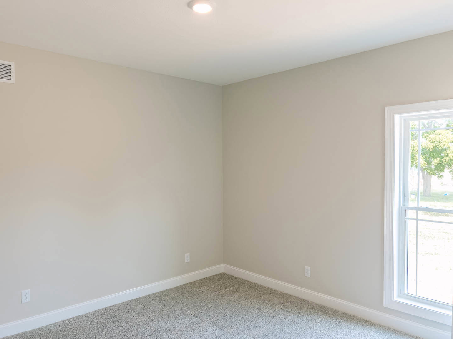Carpeted room with white walls, large window framing a leafy tree view, and a door on one side