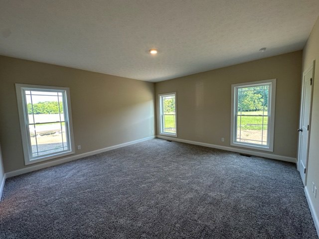Carpeted room with large windows, white plaster walls, and smooth ceiling