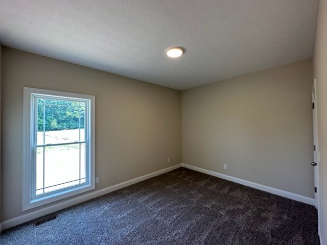 Carpeted room with white walls, large window, and smooth plaster ceiling