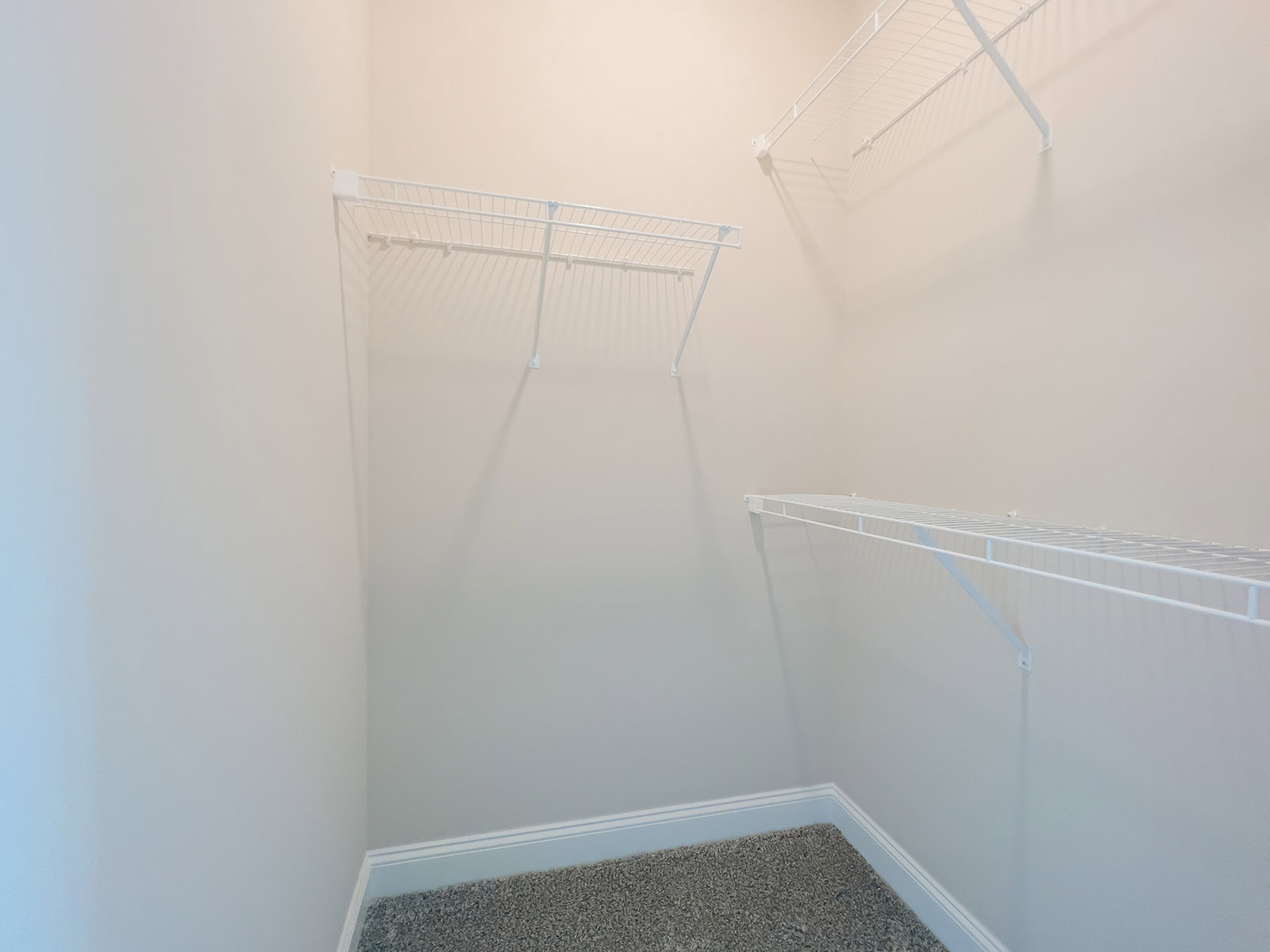 Walk-in closet with white built-in shelves, metal rods, and carpeted floor