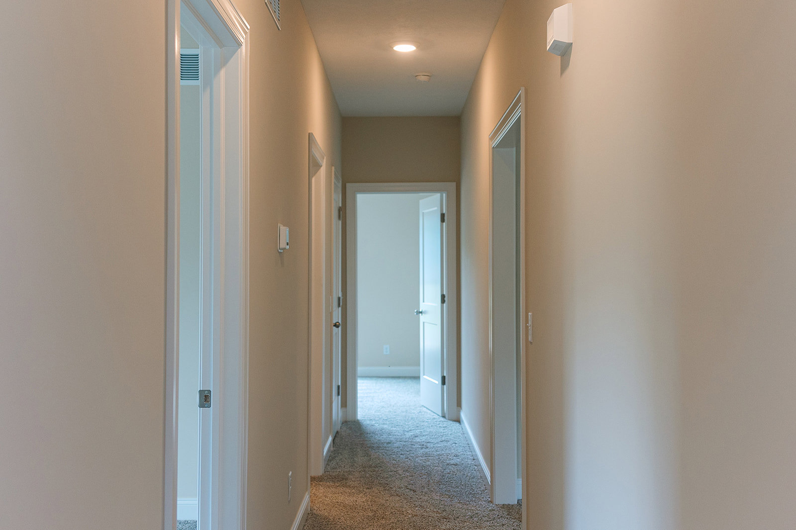 Hallway with white walls, carpeted floor, blue trim, open white door with glass panel and silver knobs, ceiling light fixture