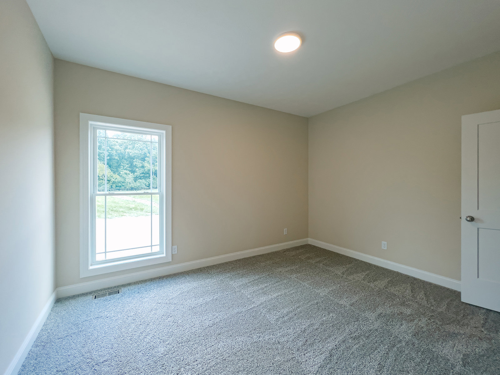 Carpeted bedroom with white walls, ceiling light fixture, large window overlooking trees, and paneled door with trim molding