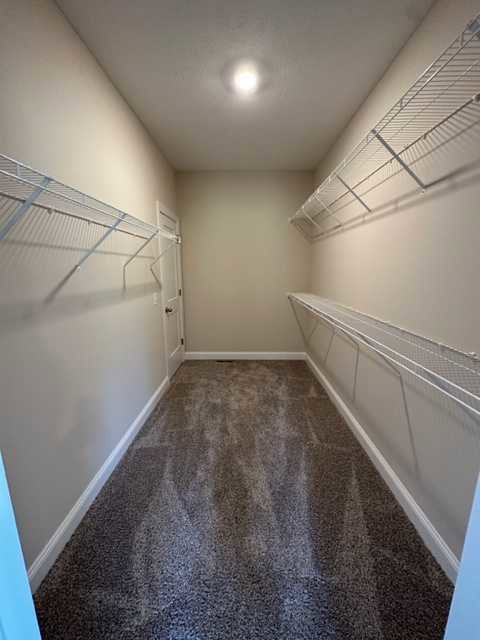 Carpeted hallway with white trim, built-in shelving along one wall, wire rack shelf, white walls, black door handle, plaster ceiling, bright overhead lighting