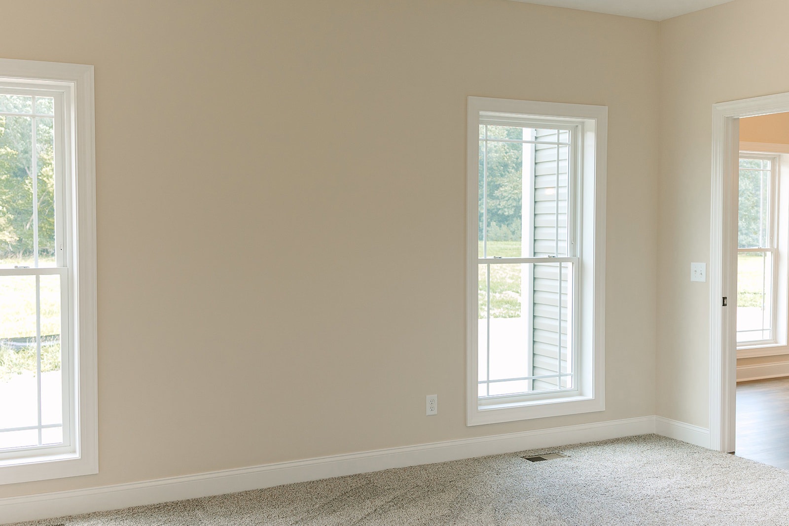 Carpeted room with white-framed window, plaster walls, and simple interior finishes