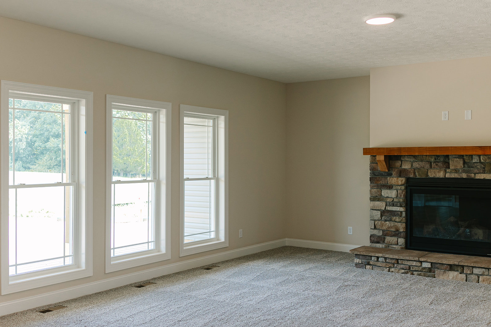 Living room with white-framed windows overlooking trees, glass-door fireplace with wood mantel, and neutral carpet flooring
