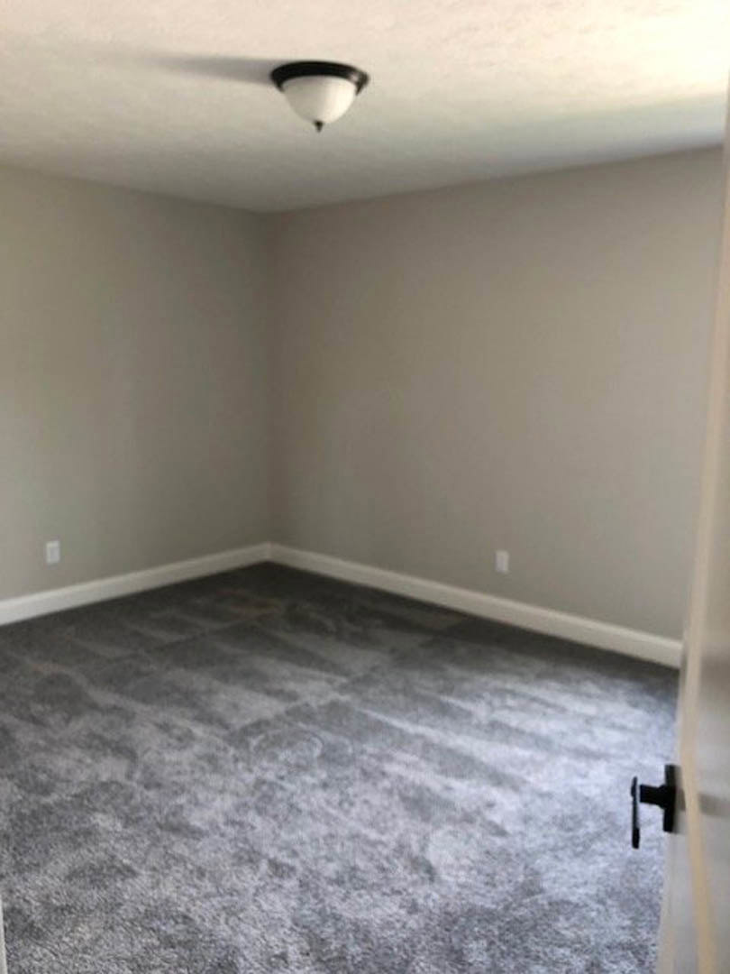 Neutral-toned carpeted floor, white plaster walls, ceiling-mounted light fixture, simple trim detailing