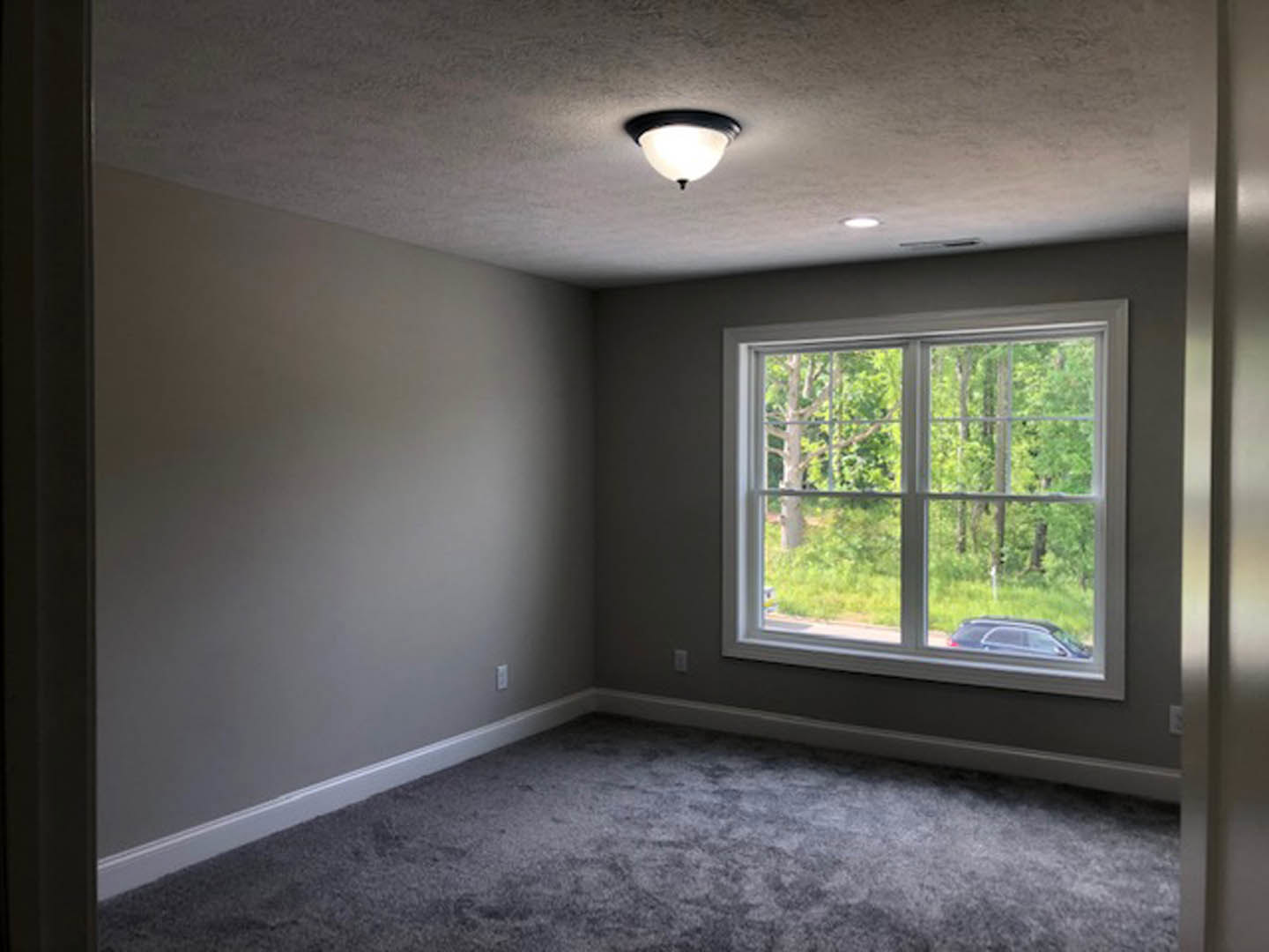 Bright room with white plaster walls, large window overlooking trees and grass, soft grey carpet flooring, ceiling light fixture.