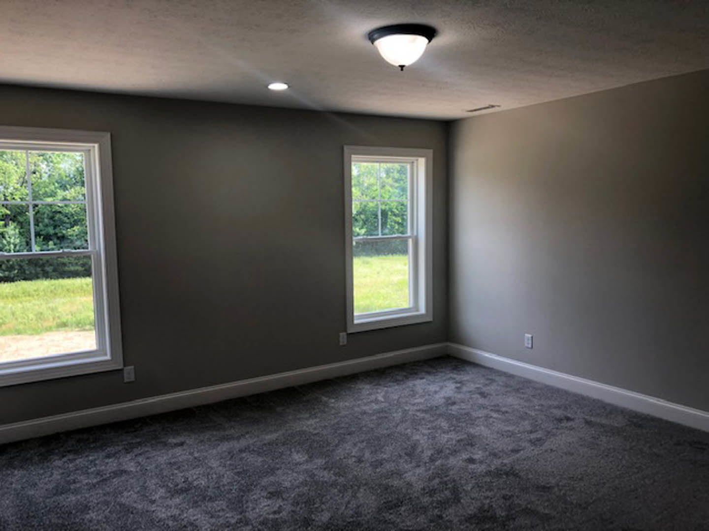 Bright carpeted room with large windows overlooking grassy field and trees, white plaster walls, ceiling-mounted light fixture