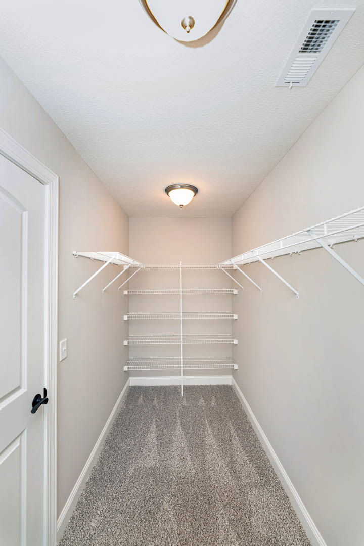Spacious walk-in closet with white shelving, carpeted floor, ceiling vent, and recessed light fixture