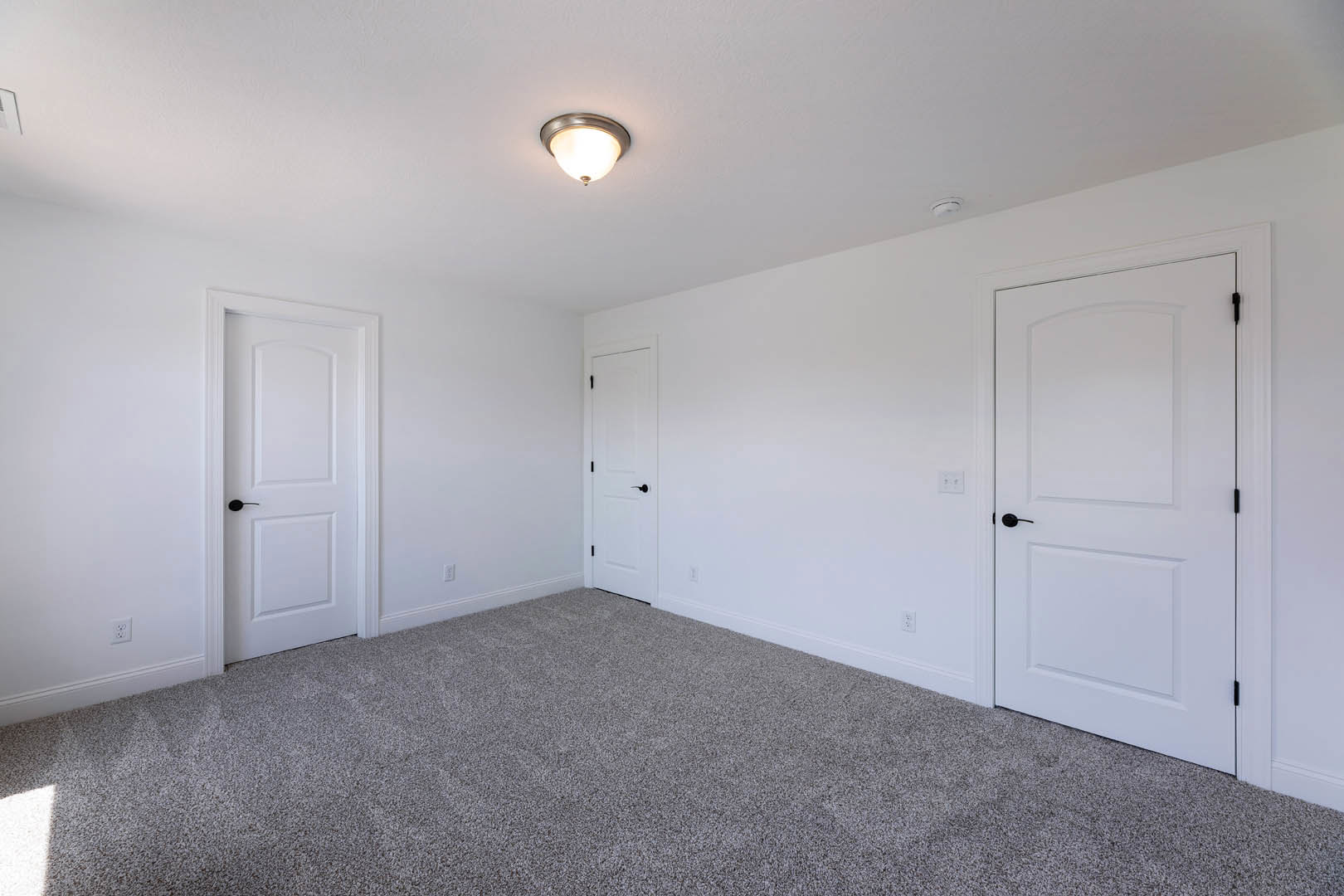 White-walled room with plush carpet, two white doors featuring black handles, and a modern ceiling light fixture