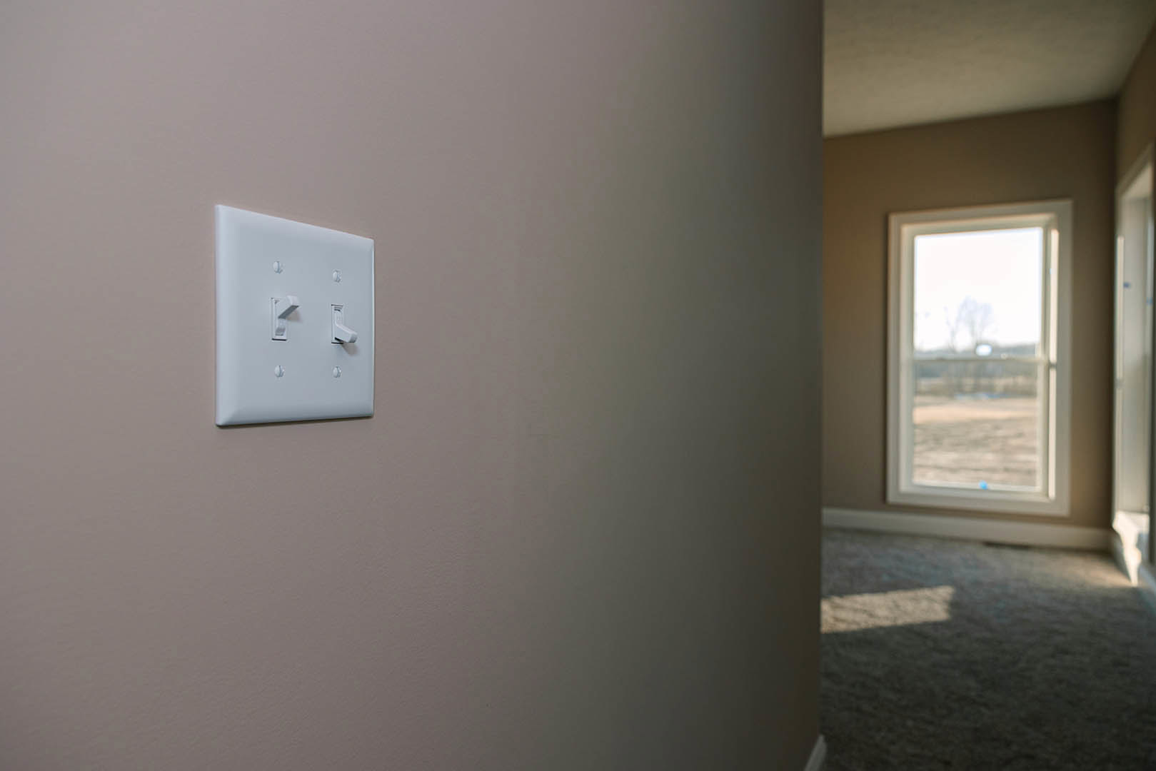 White light switch mounted on smooth wall, adjacent to window with outdoor view, beige carpet visible below