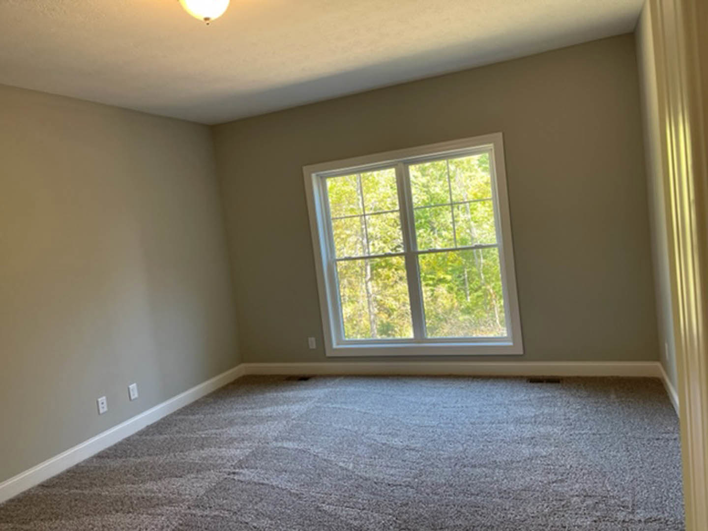Neutral-toned carpeted room with large window overlooking trees, white plaster walls, ceiling-mounted light fixture, and minimal window covering