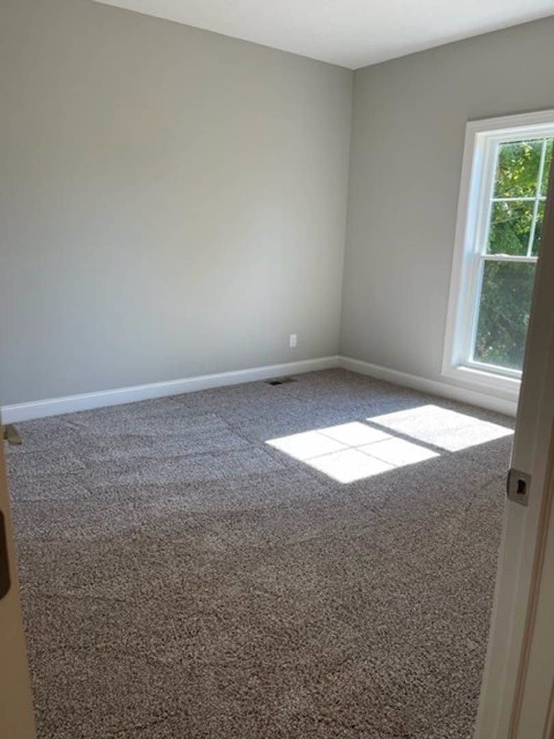 Carpeted room with white-framed window, plaster walls, and wood laminate flooring