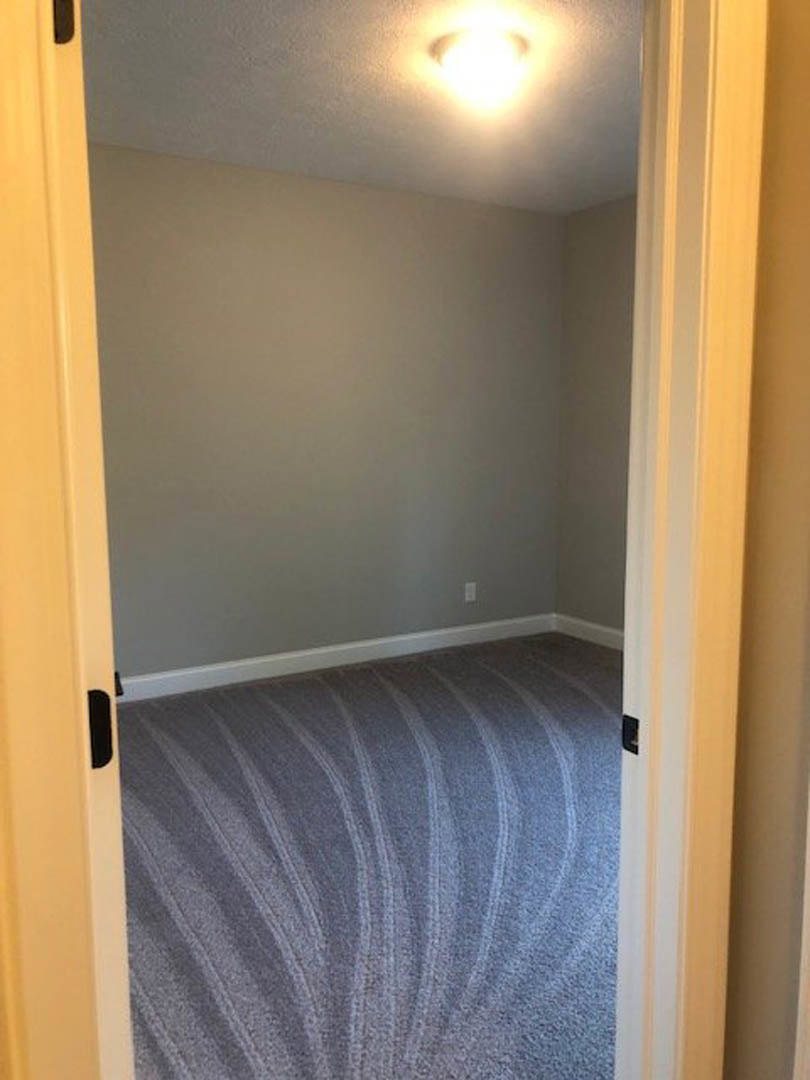 White plaster walls and ceiling, beige carpet flooring, open wooden door with metal handle, wall-mounted light fixture, ceiling light, natural daylight illuminating the room