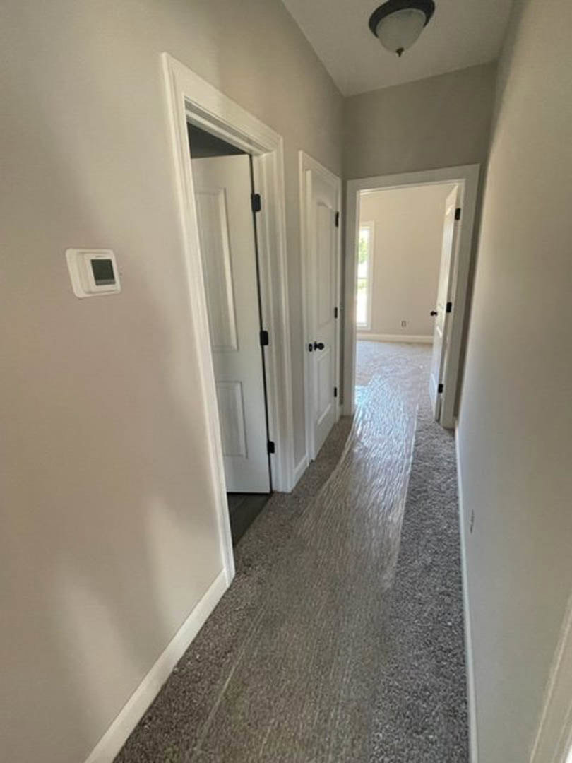 Hallway with light gray carpet, multiple white paneled doors, white walls, and a ceiling-mounted light fixture