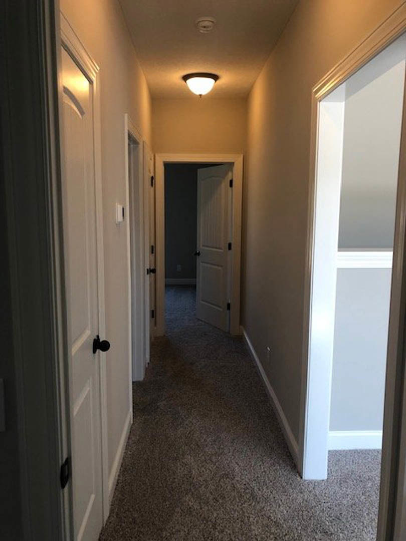 Hallway with white doors, carpeted walls, white trim, and black door handles; ceiling-mounted light fixture
