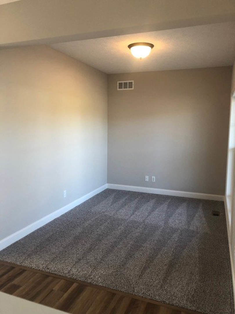 Grey carpeted floor, white plaster walls with a vent in the corner, ceiling-mounted light fixture, and minimal decor in a residential room.