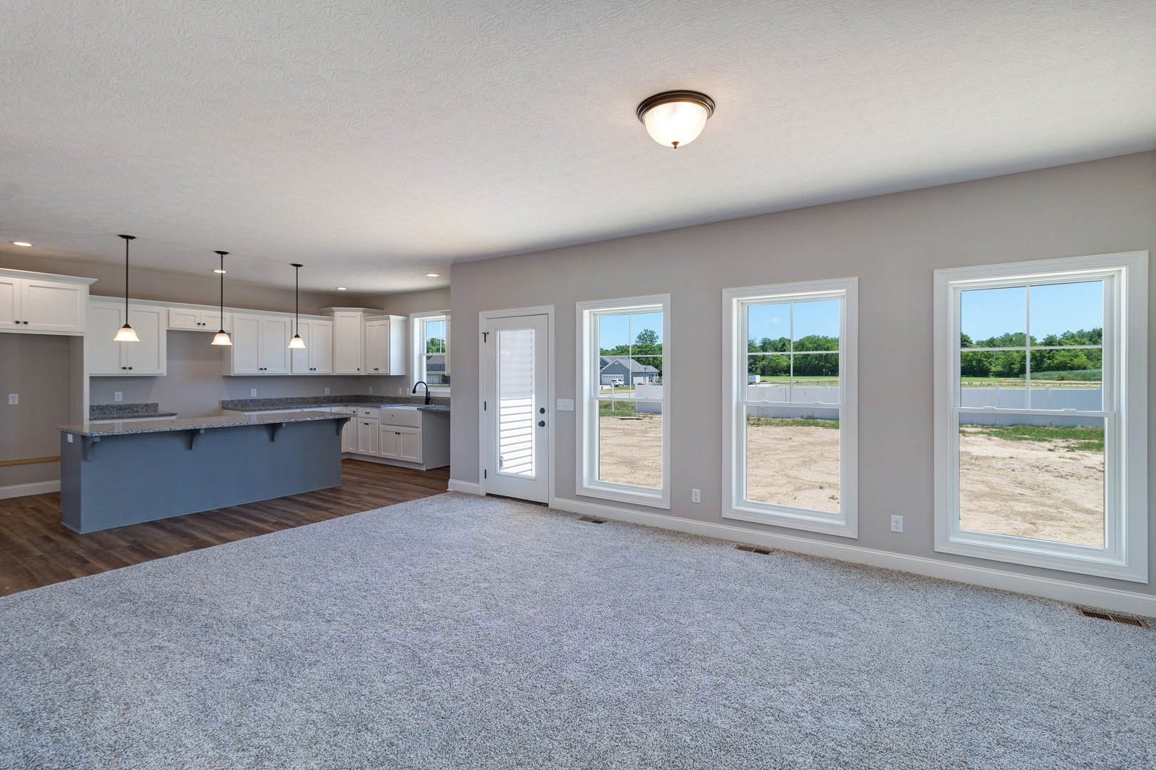 Open-concept living room and kitchen with wood flooring, tile backsplash, large window overlooking dirt field and trees, white door with blinds, carpeted area, and modern light