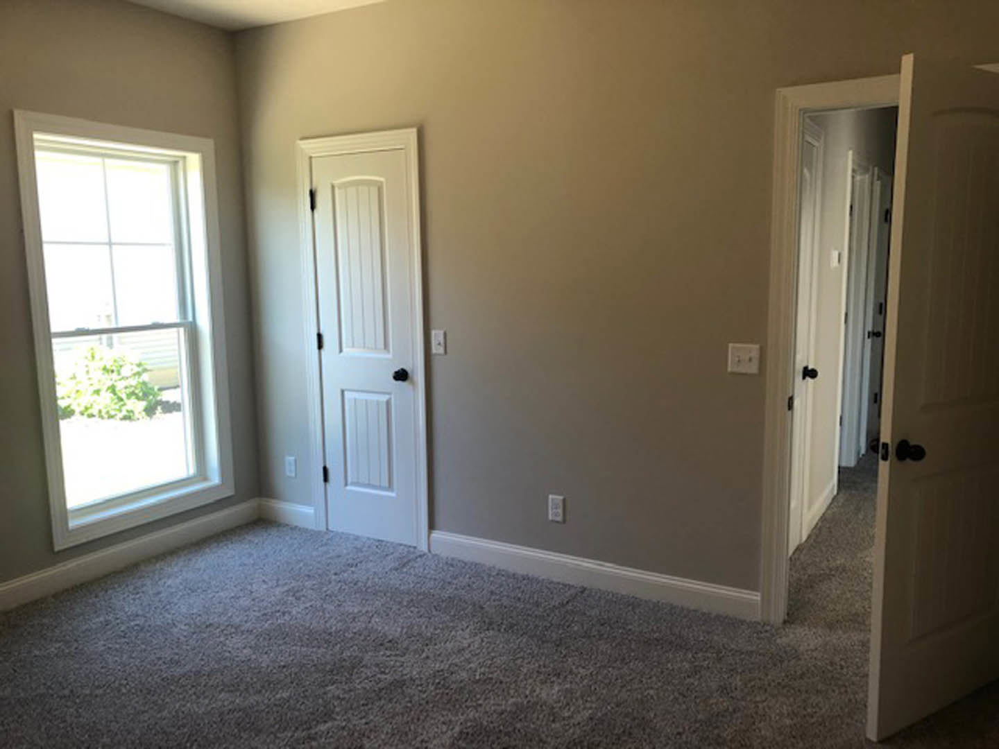 White paneled door with black knob, white-framed window, light switch on pale wall, beige carpeted floor