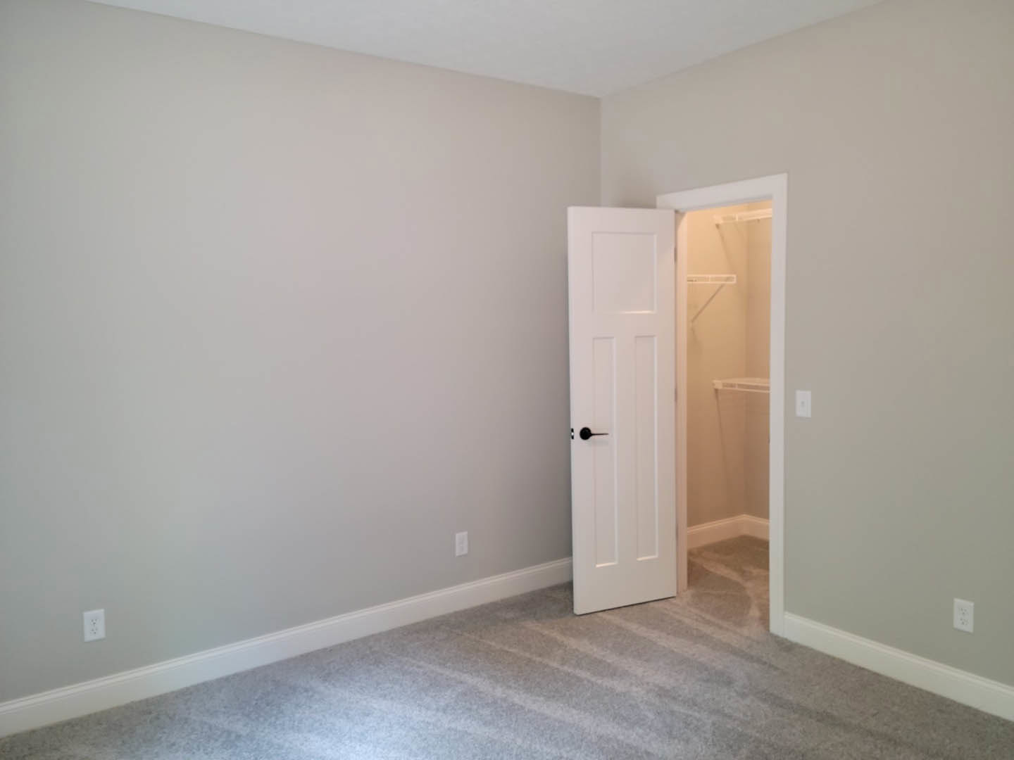 White paneled door with black handle opening into a carpeted room, white shower stall with built-in shelf visible beyond, smooth plaster walls and laminate flooring.