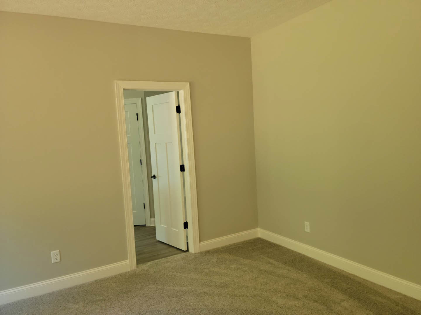 White paneled door with black handles and hinges opening into carpeted room, smooth plaster walls, and white ceiling