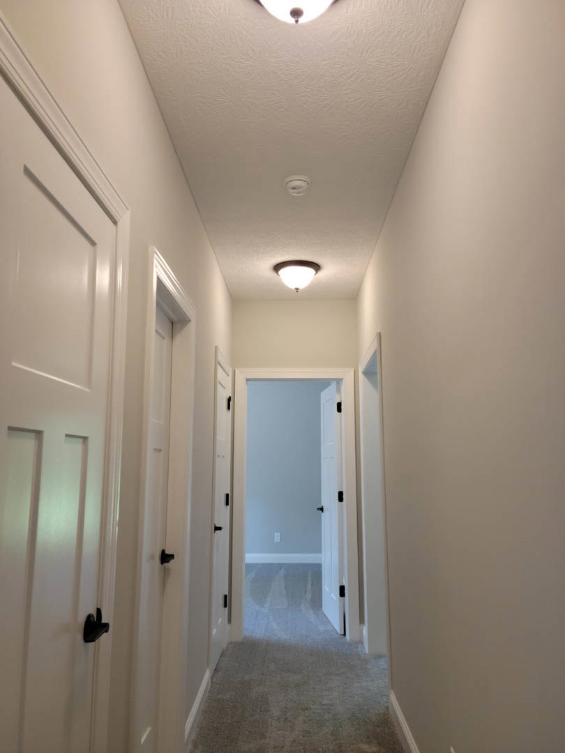 Hallway with white paneled doors featuring black knobs, carpeted floor, white walls, and a ceiling-mounted light fixture