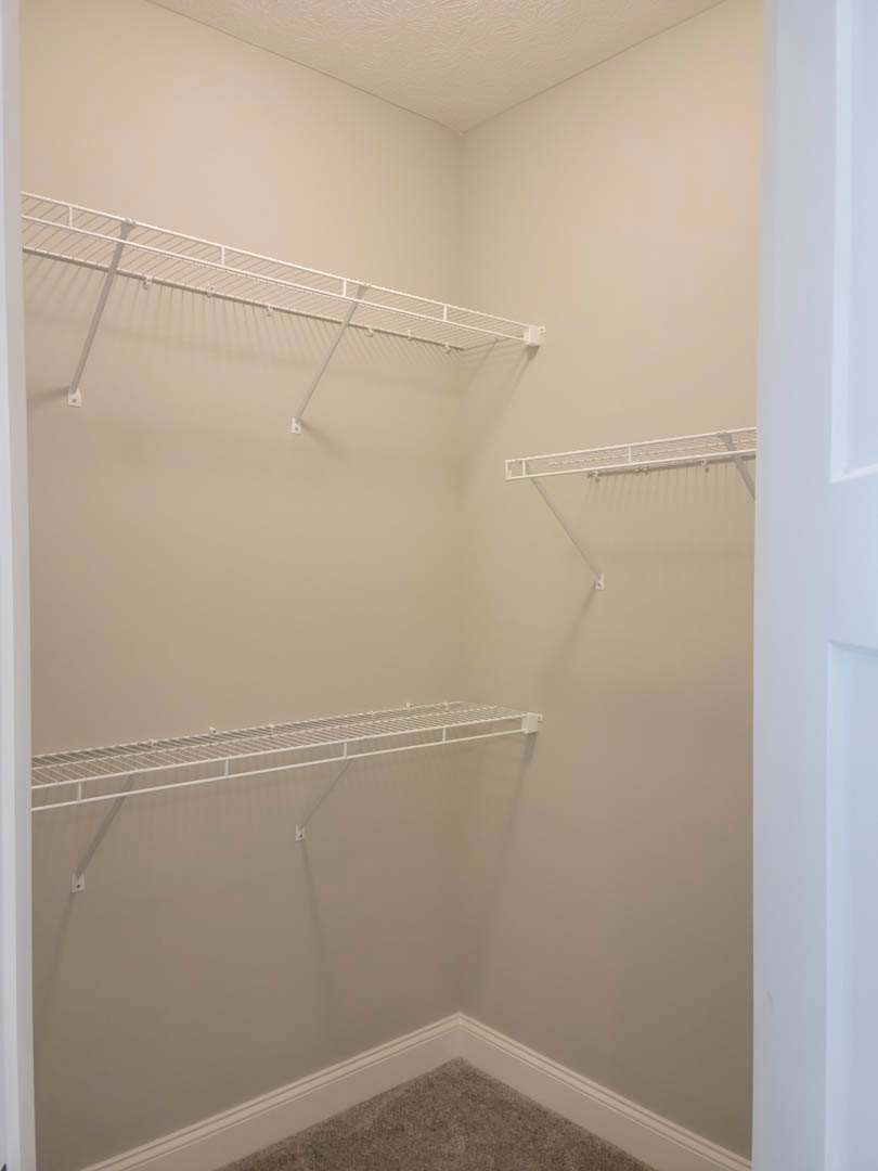 Walk-in closet with white built-in shelves, carpeted floor, and white metal railing along plaster wall