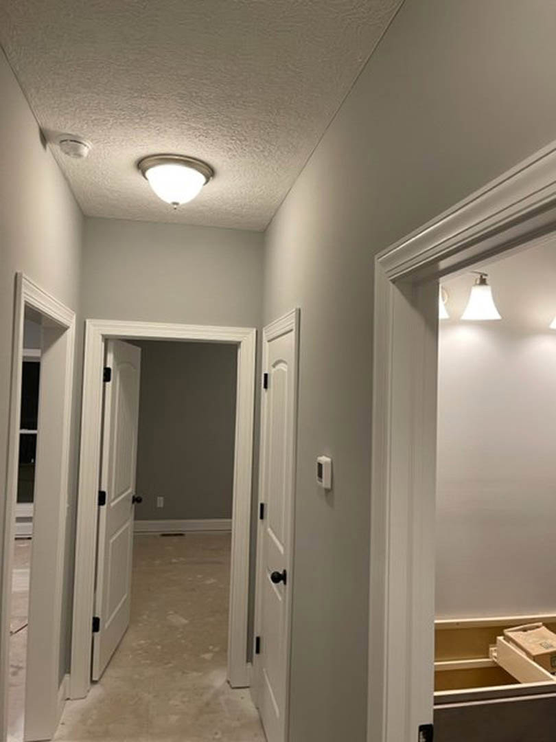 Hallway with white paneled doors, black handles, light fixture on ceiling, neutral walls, and light wood flooring