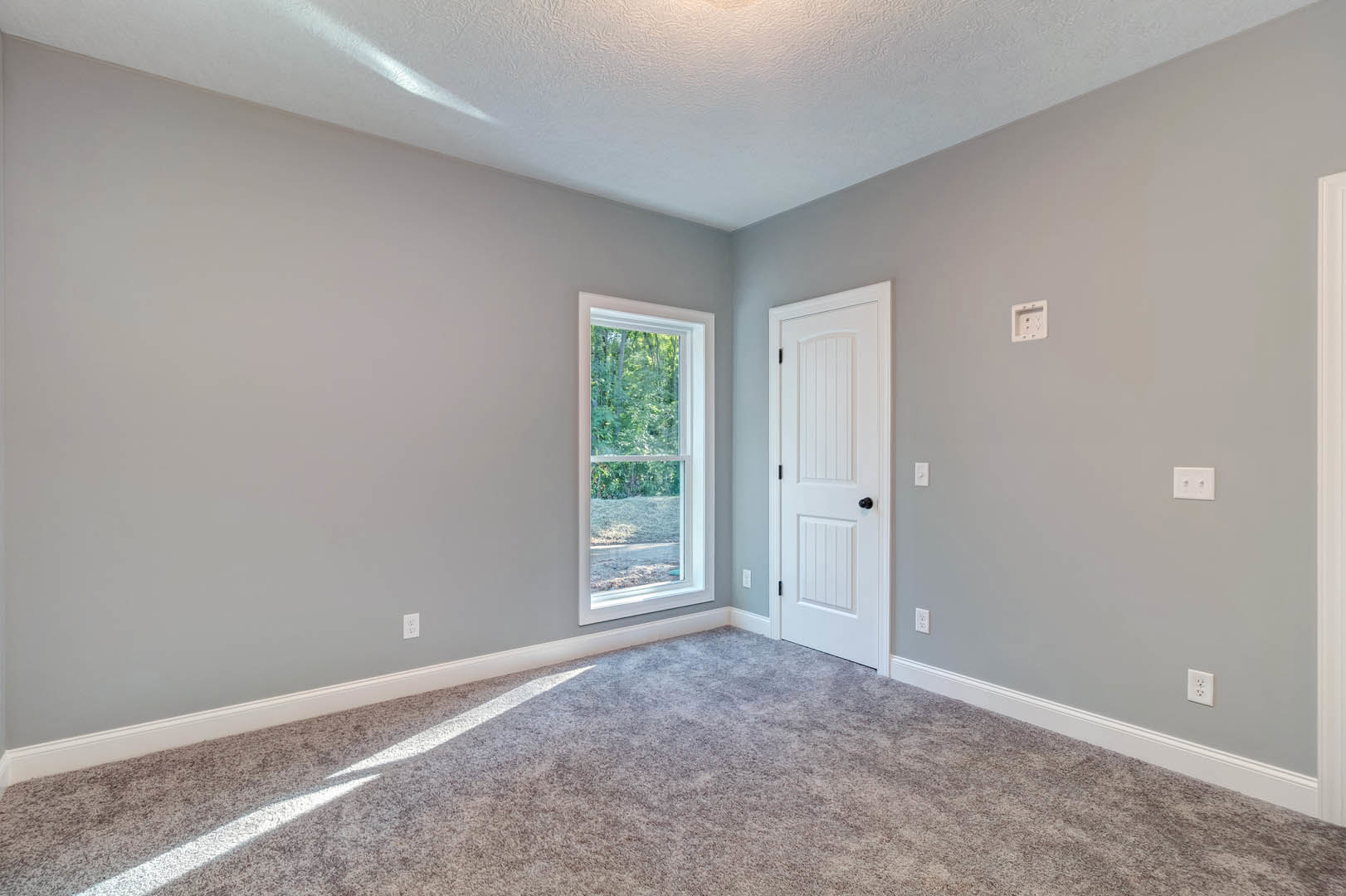 Carpeted room with white walls, white door, window showing trees outside, electrical outlets and switches on wall, ceiling molding visible