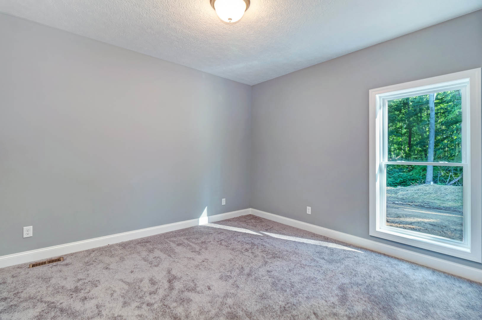 Carpeted room with white walls, large window showing trees outside, ceiling light fixture, simple molding along ceiling and floor