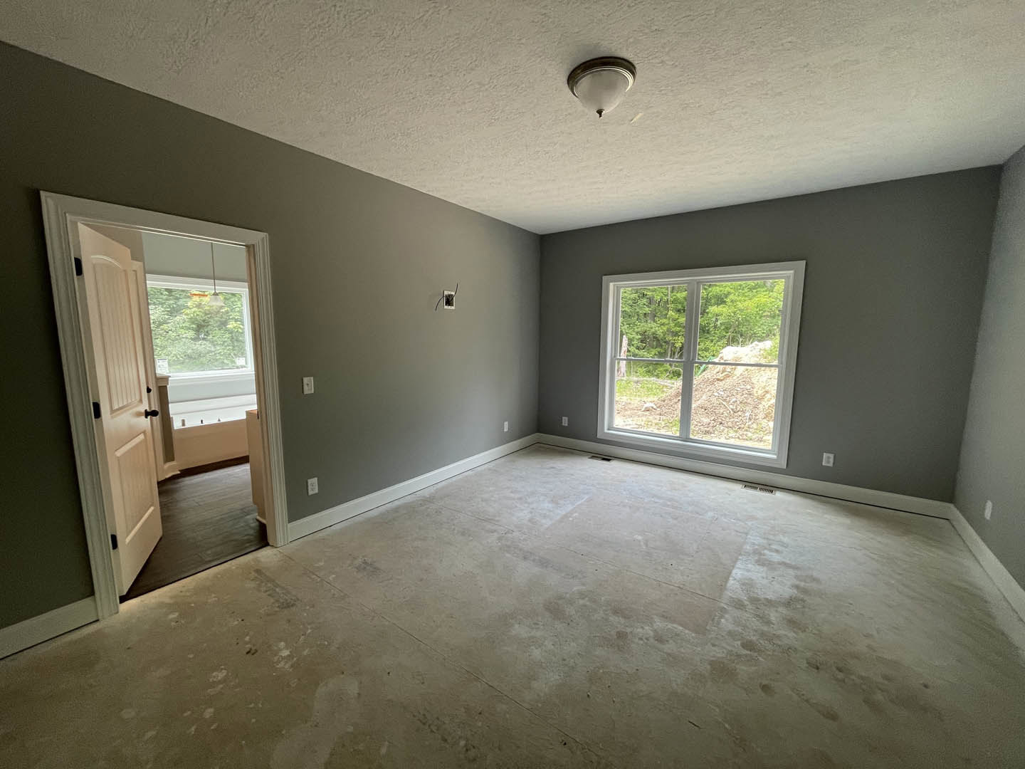 White plaster walls and ceiling, light fixture overhead, white door with black knobs, large windows framing views of trees, hardwood flooring