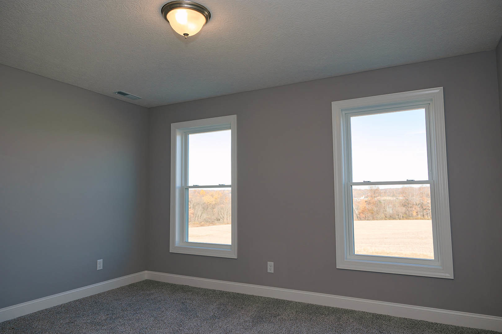 Bright carpeted room with large windows, white walls, ceiling light fixture, and views of green field and trees outside