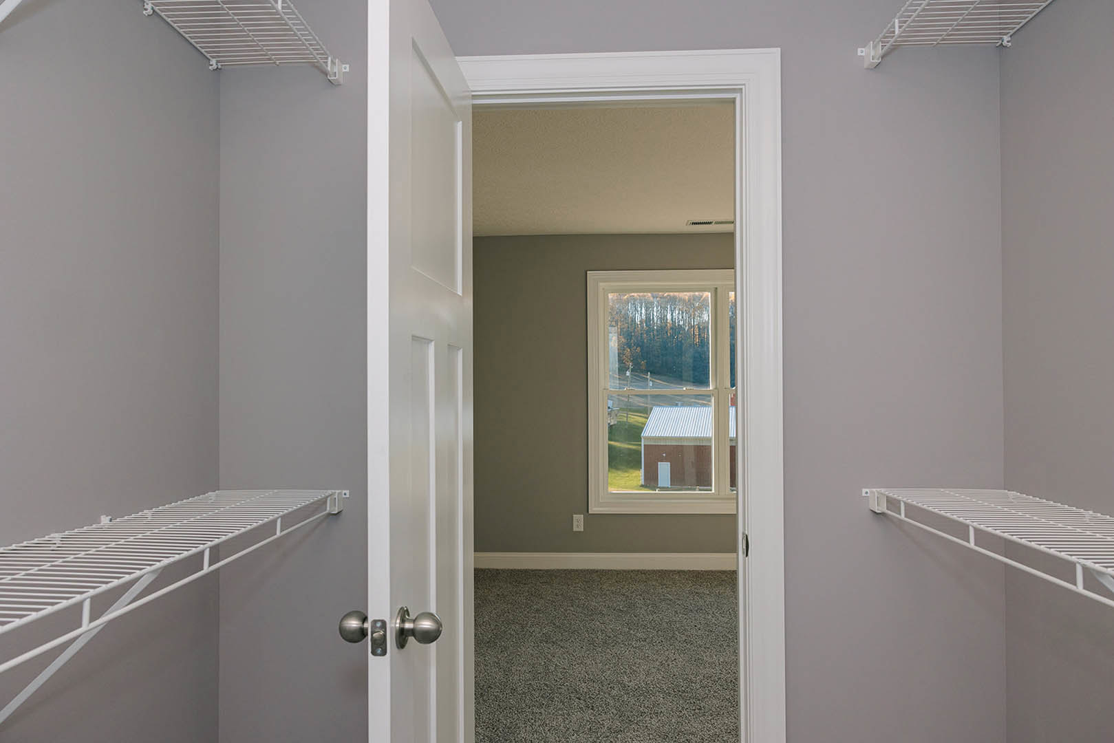 Walk-in closet with white built-in shelves, carpeted floor, and window overlooking neighboring house and trees