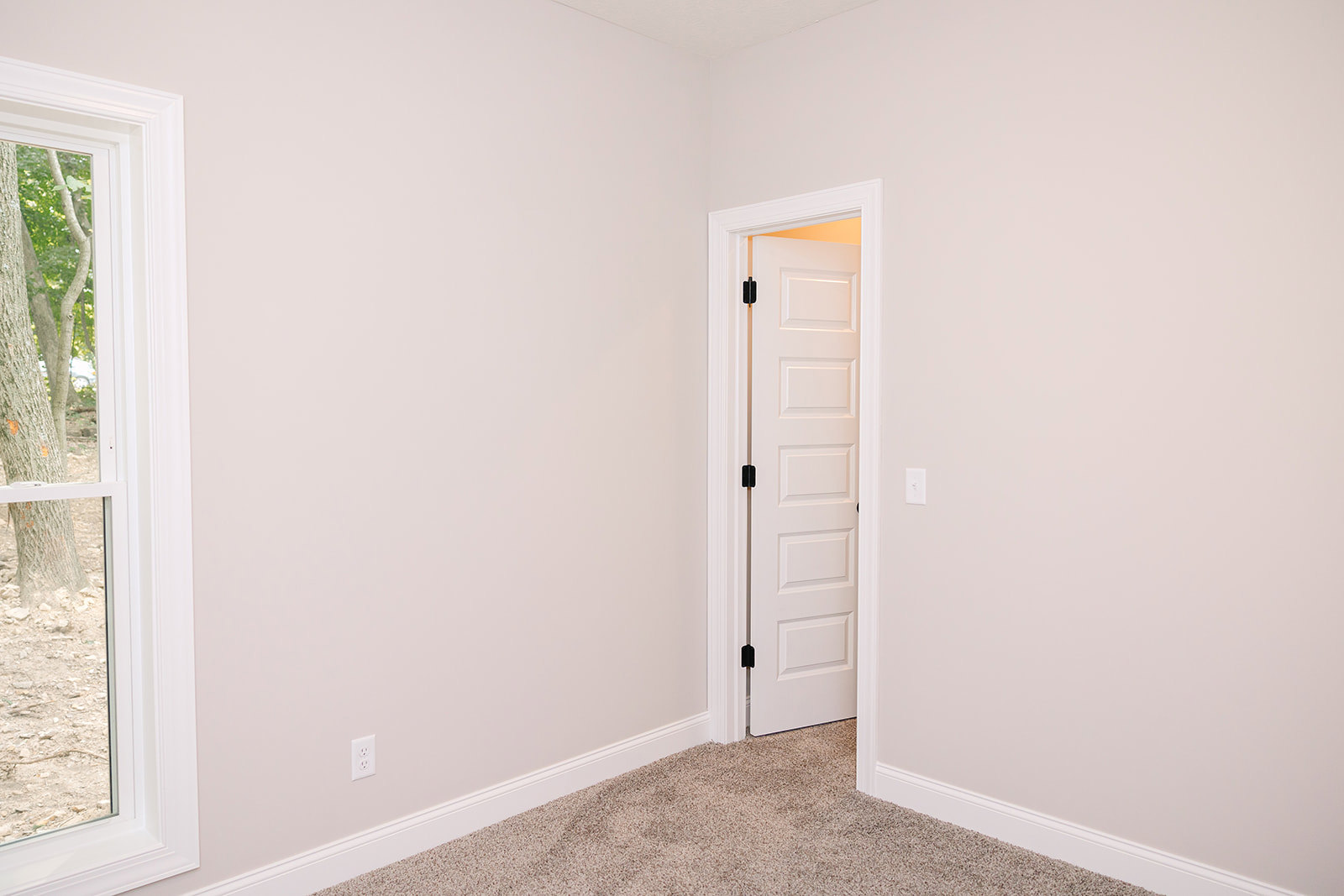 White paneled door with black hinges set in a plaster wall, carpeted floor, window revealing tree trunk outside