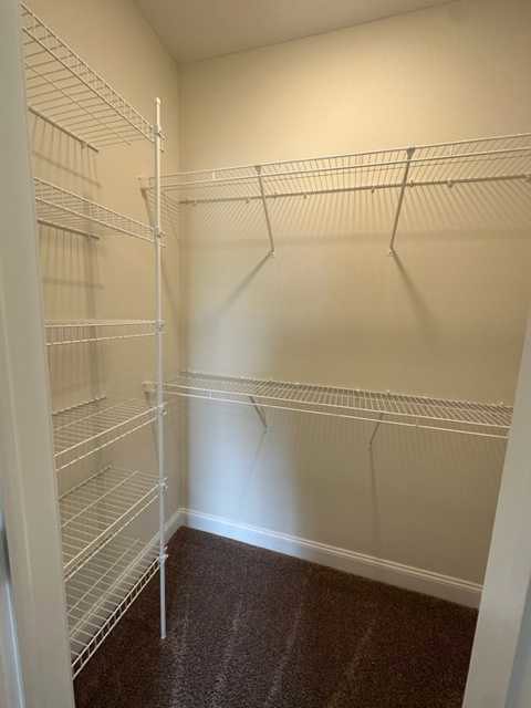Walk-in closet with white built-in shelves, carpeted floor, and white baseboards