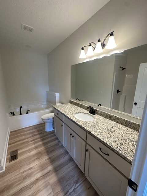 Bathroom featuring a marble countertop, freestanding bathtub, wood flooring, and a row of modern light fixtures above the vanity