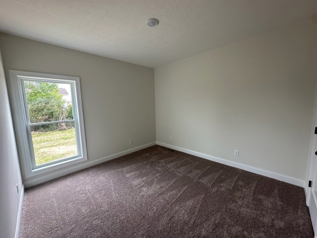 Carpeted room with white walls, large window, and baseboard trim