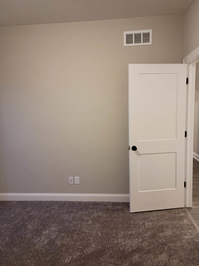 White paneled door with brushed metal handle set in a plaster wall, beige carpet flooring, and white baseboard trim in a residential room