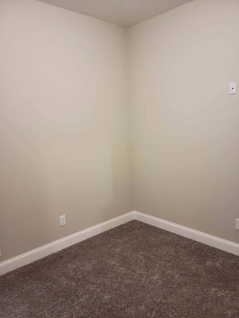 Carpeted floor meeting white plaster walls, close-up of corner with light switch visible