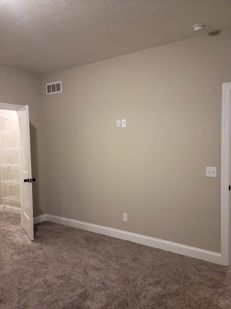 White door open to a closet with built-in white shelves, beige carpet flooring, and a wall vent visible in a neutral-toned room.