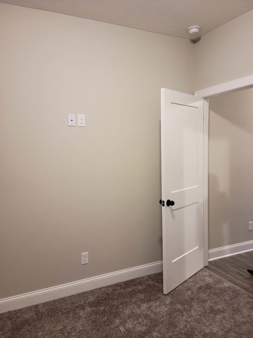 White paneled door with brushed metal handle set in a white wall, beige carpet flooring, and nearby electrical outlet.