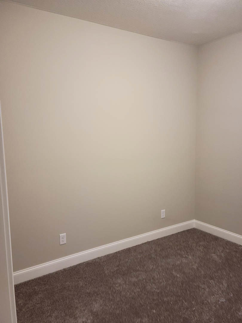 White carpeted floor and smooth white plaster wall in a residential room