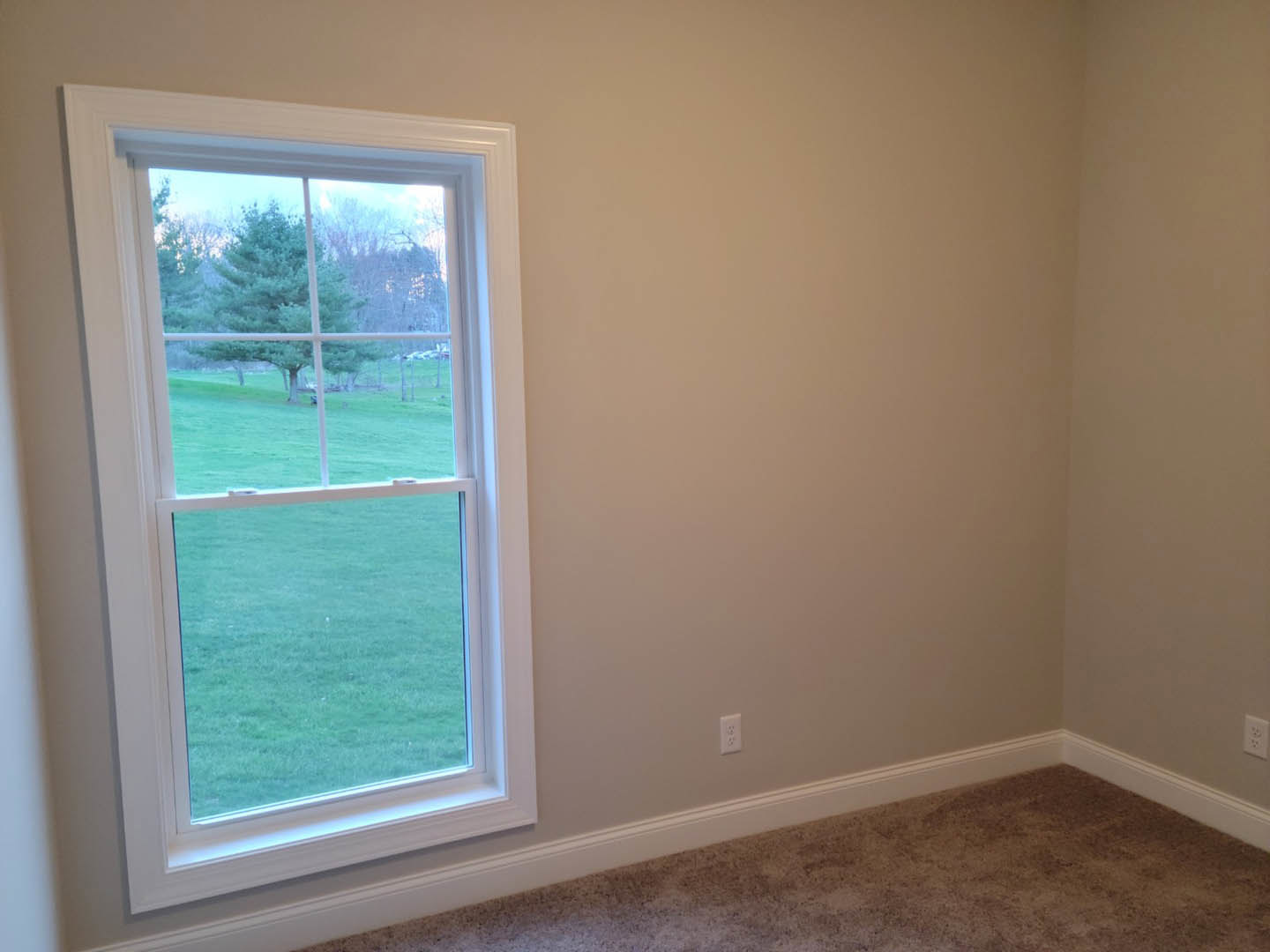 Large window with white trim overlooking green lawn and trees, neutral walls, light carpeted floor