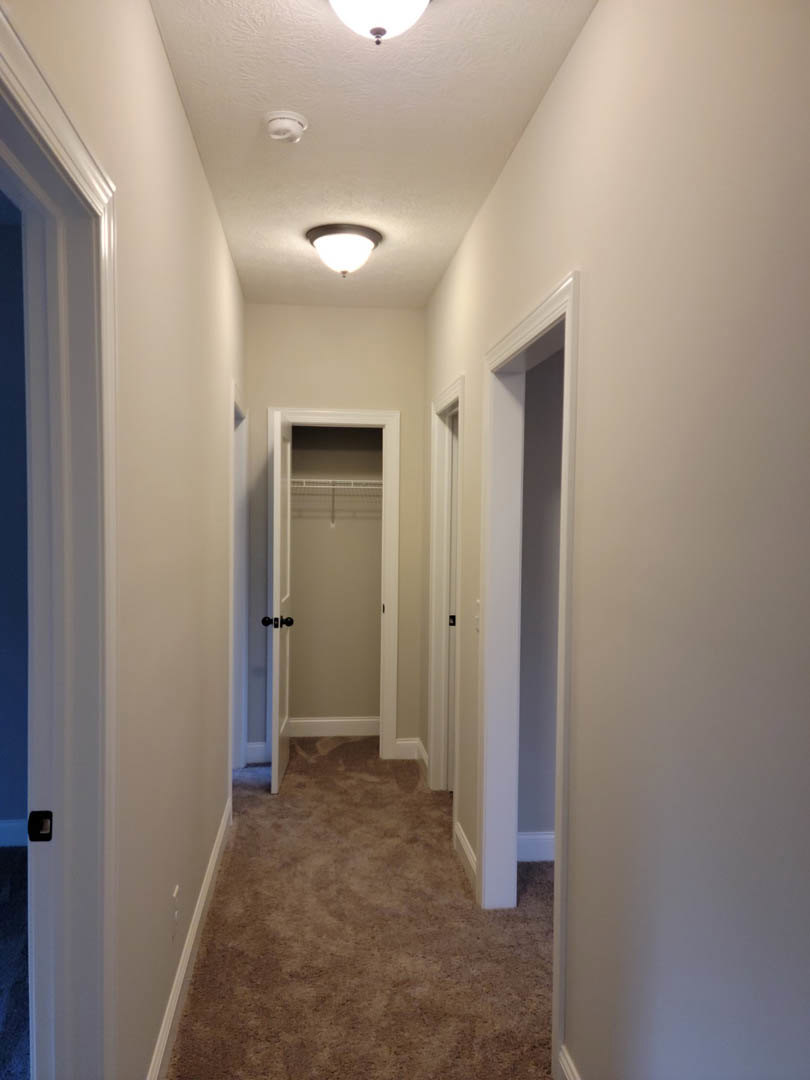 Carpeted hallway with white trim, open closet door, ceiling-mounted light fixture, white walls and doors
