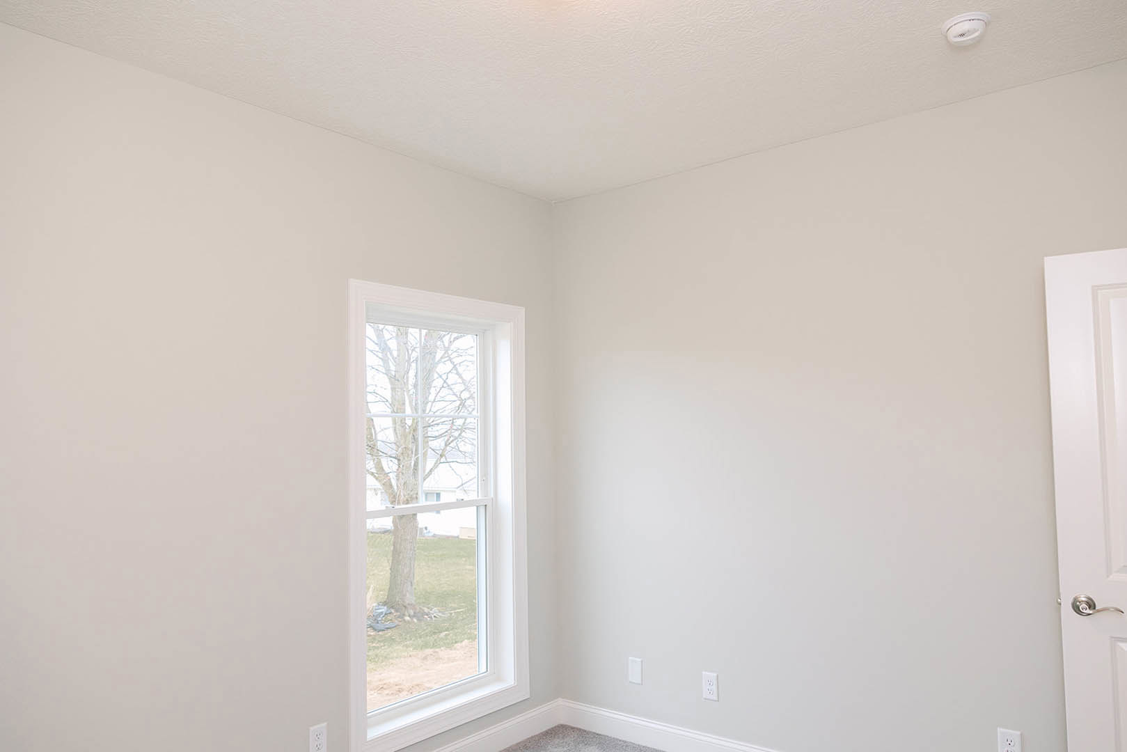 Bright room with white plaster walls, ceiling molding, large window overlooking green yard and tree, smoke detector mounted on ceiling