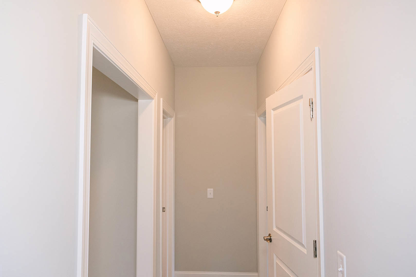 Hallway with white paneled doors, black door handles, white door frames, light switch on wall, and ceiling-mounted light fixture