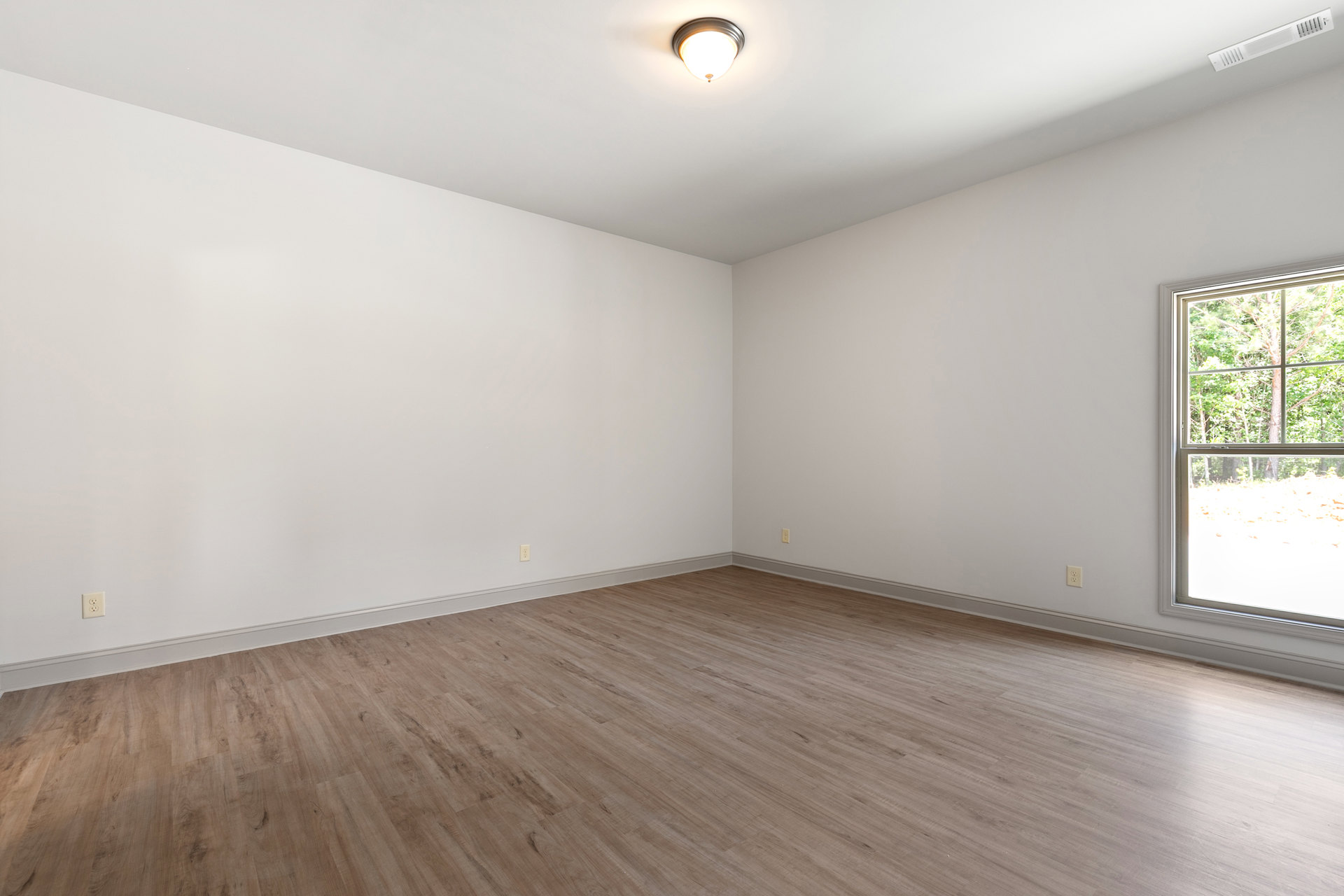 Hardwood floor room with white plaster walls, ceiling-mounted light fixture, large window framing leafy trees outside